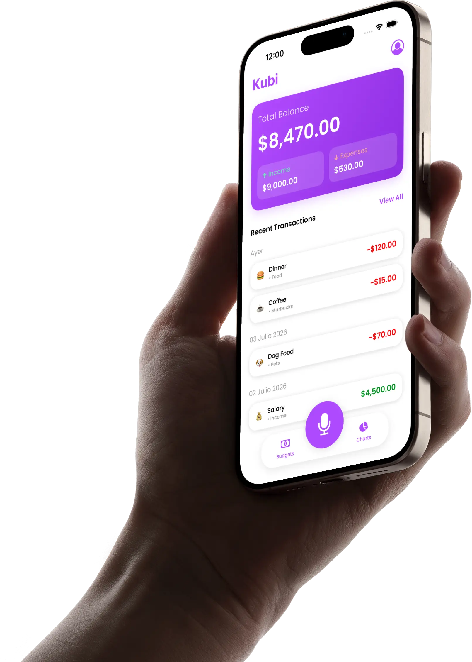 Financial overview in Kubi